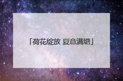 荷花绽放 夏意满塘