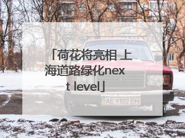 荷花将亮相 上海道路绿化next level