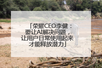 荣耀CEO李健：要让AI解决问题，让用户日常使用起来才能释放潜力