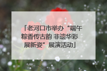 老河口市举办“端午粽香传古韵 非遗华彩展新姿”展演活动