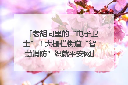 老胡同里的“电子卫士”！大栅栏街道“智慧消防”织就平安网