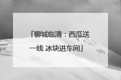 聊城临清：西瓜送一线 冰块进车间