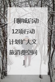聊城启动12项行动计划扩大文旅消费空间