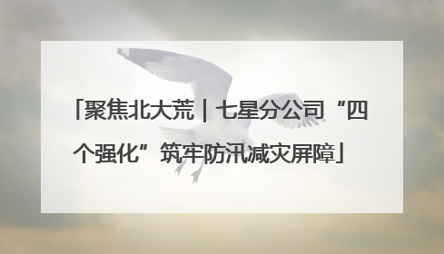 聚焦北大荒｜七星分公司“四个强化”筑牢防汛减灾屏障