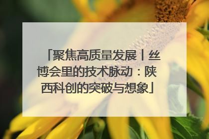 聚焦高质量发展丨丝博会里的技术脉动：陕西科创的突破与想象