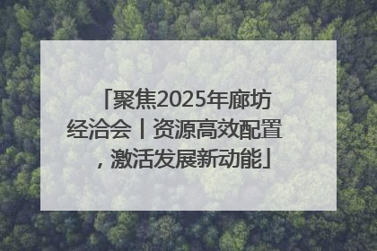 聚焦2025年廊坊经洽会丨资源高效配置，激活发展新动能