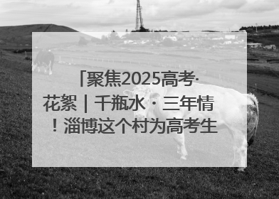 聚焦2025高考·花絮｜千瓶水・三年情！淄博这个村为高考生递上“奋进清凉”