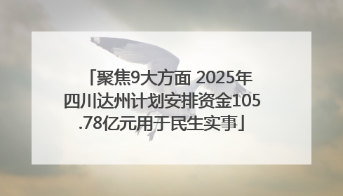 聚焦9大方面 2025年四川达州计划安排资金105.78亿元用于民生实事