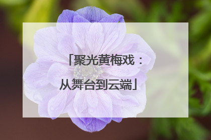 聚光黄梅戏：从舞台到云端