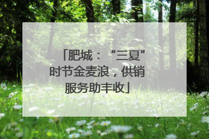 肥城：“三夏”时节金麦浪，供销服务助丰收