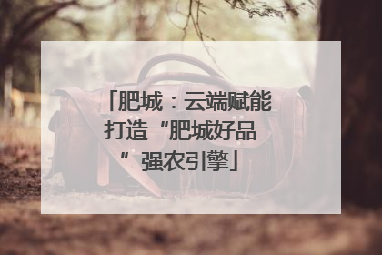 肥城：云端赋能 打造“肥城好品”强农引擎