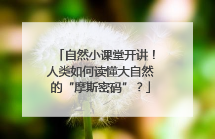 自然小课堂开讲！人类如何读懂大自然的“摩斯密码”？