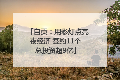 自贡：用彩灯点亮夜经济 签约11个总投资超9亿