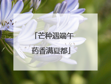 芒种遇端午 药香满夏都