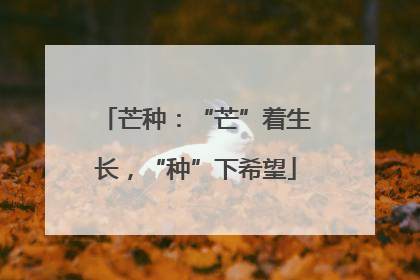 芒种：“芒”着生长，“种”下希望
