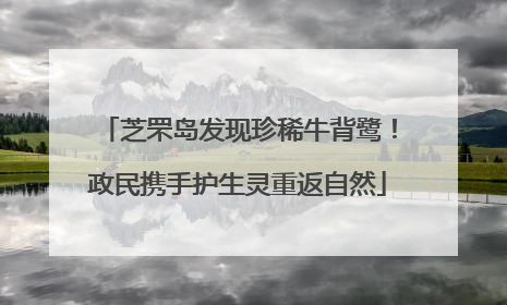 芝罘岛发现珍稀牛背鹭！政民携手护生灵重返自然