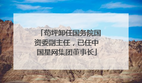 苟坪卸任国务院国资委副主任，已任中国星网集团董事长