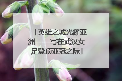 英雄之城光耀亚洲——写在武汉女足登顶亚冠之际