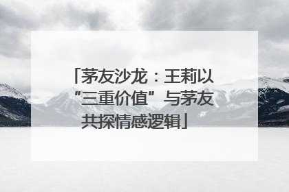 茅友沙龙：王莉以“三重价值”与茅友共探情感逻辑