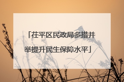 茌平区民政局多措并举提升民生保障水平