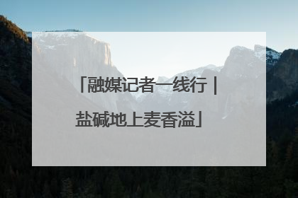 融媒记者一线行｜盐碱地上麦香溢