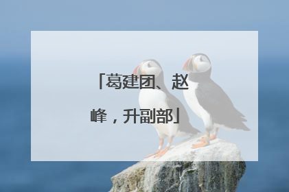 葛建团、赵峰，升副部