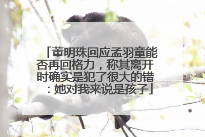 董明珠回应孟羽童能否再回格力，称其离开时确实是犯了很大的错：她对我来说是孩子