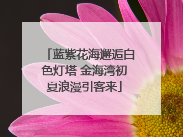 蓝紫花海邂逅白色灯塔 金海湾初夏浪漫引客来