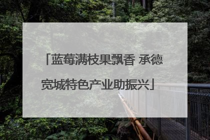 蓝莓满枝果飘香 承德宽城特色产业助振兴