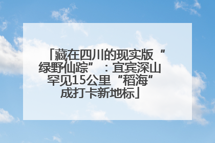 藏在四川的现实版“绿野仙踪”：宜宾深山罕见15公里“稻海”成打卡新地标