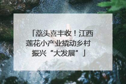 藠头喜丰收！江西莲花小产业撬动乡村振兴“大发展”