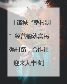 诸城“整村制”经营铺就富民强村路，合作社迎来大丰收