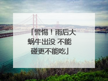 警惕！雨后大蜗牛出没 不能碰更不能吃