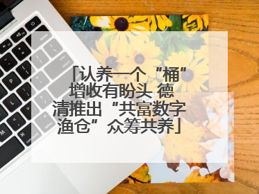 认养一个“桶” 增收有盼头 德清推出“共富数字渔仓”众筹共养