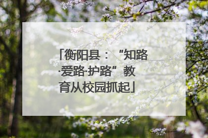 衡阳县：“知路·爱路·护路”教育从校园抓起