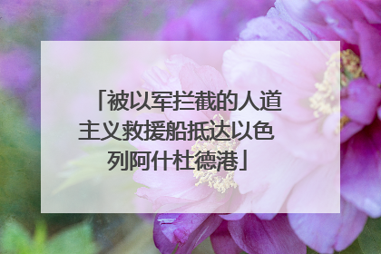 被以军拦截的人道主义救援船抵达以色列阿什杜德港