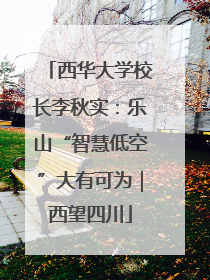 西华大学校长李秋实：乐山“智慧低空”大有可为｜西望四川
