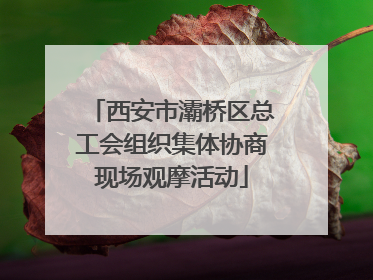 西安市灞桥区总工会组织集体协商现场观摩活动