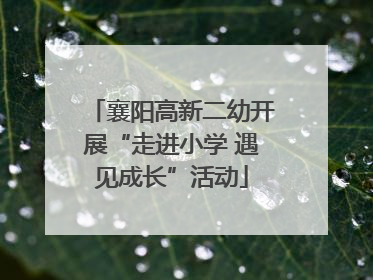 襄阳高新二幼开展“走进小学 遇见成长”活动