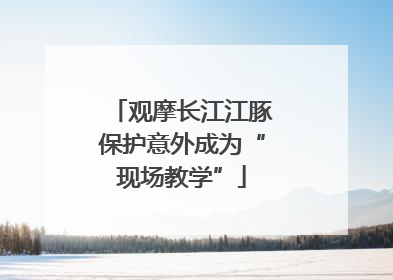 观摩长江江豚保护意外成为“现场教学”