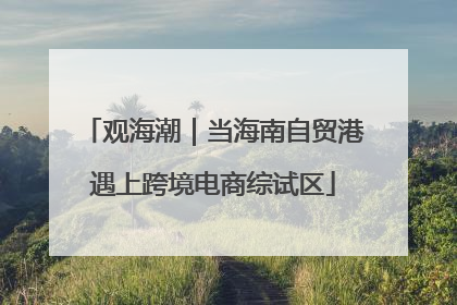 观海潮｜当海南自贸港遇上跨境电商综试区