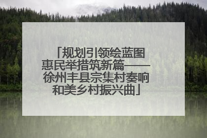 规划引领绘蓝图 惠民举措筑新篇——徐州丰县宗集村奏响和美乡村振兴曲