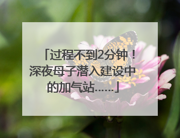 过程不到2分钟！深夜母子潜入建设中的加气站……