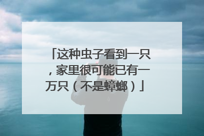 这种虫子看到一只，家里很可能已有一万只（不是蟑螂）