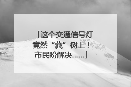 这个交通信号灯竟然“藏”树上！市民盼解决……