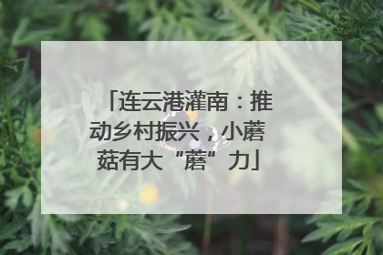 连云港灌南：推动乡村振兴，小蘑菇有大“蘑”力