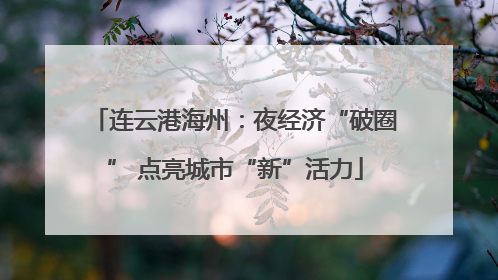 连云港海州：夜经济“破圈” 点亮城市“新”活力
