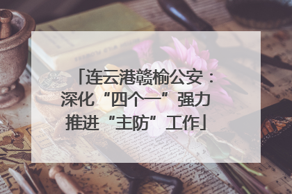 连云港赣榆公安：深化“四个一”强力推进“主防”工作