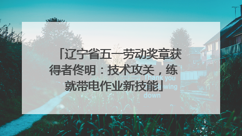辽宁省五一劳动奖章获得者佟明：技术攻关，练就带电作业新技能
