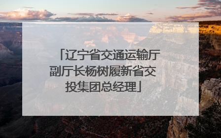 辽宁省交通运输厅副厅长杨树履新省交投集团总经理
